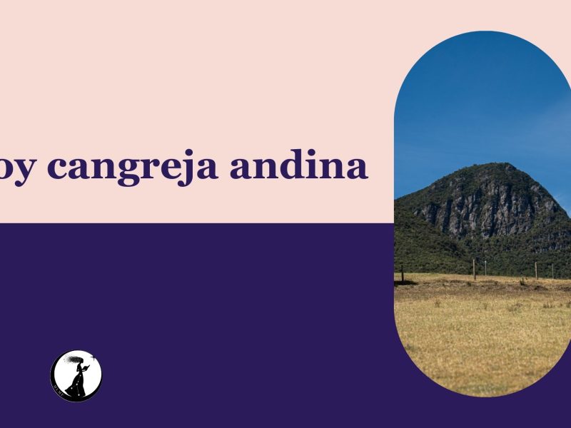 Soy cangreja andina