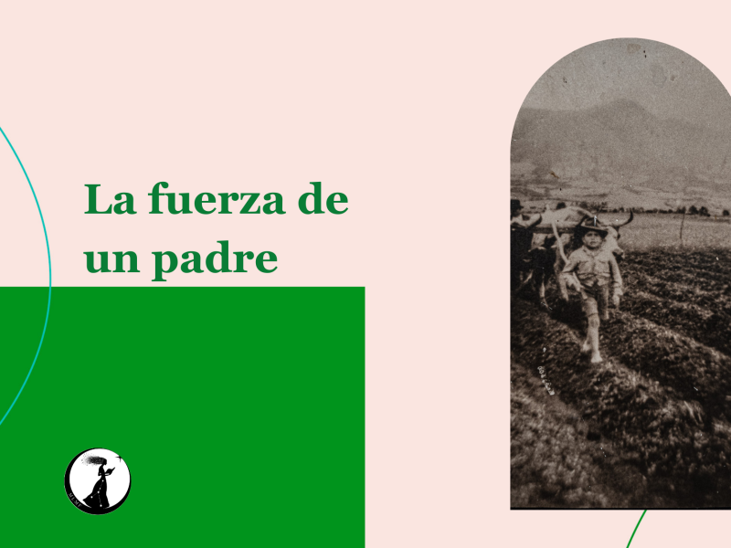 La fuerza de un padre